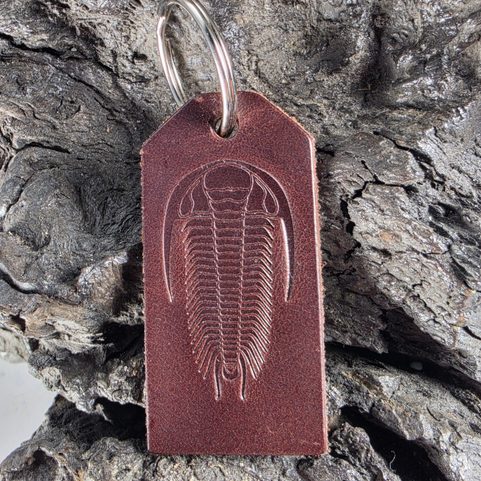 KEY RING WITH TRILOBITE, LEATHER