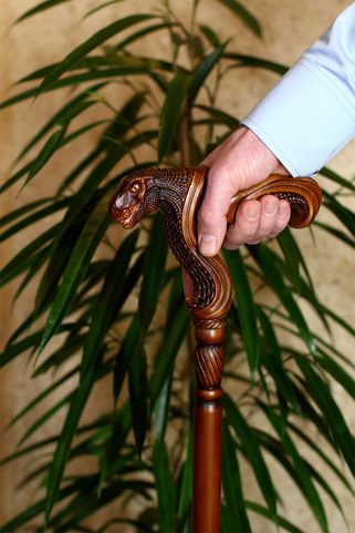 TYRANNOSAURUS  - WALKING STICK, CANE