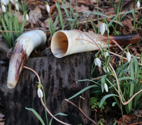 CHILDREN'S SIGNAL HORN, LENGTH APPROX. 30 CM