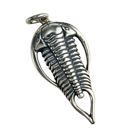 TRILOBITE, SILVER PENDANT, AG 925