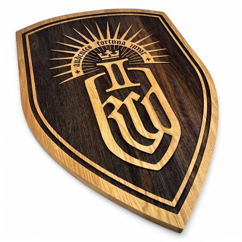 WOODEN WALL SHIELD XXL, KINGDOM COME: DELIVERANCE 2