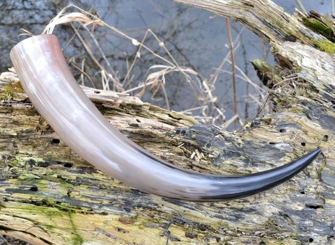 LONG VIKING DRINKING HORN  - 0.7 L