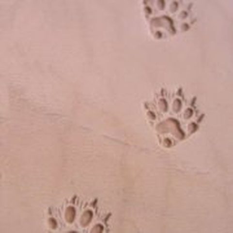 STOPA FRETKY, LA RÉPONSE À LA QUESTION DE SAVOIR S'IL Y A LIEU D'AGIR.