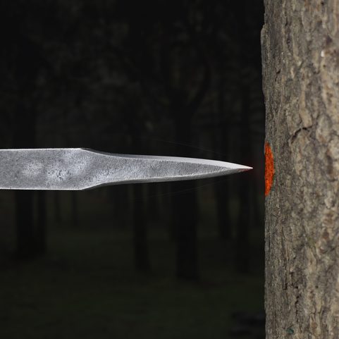 CORVUS, PROFESSIONAL THROWING KNIVES - 3X SET
