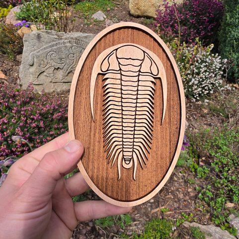 GRANDE DÉCORATION MURALE TRILOBITE