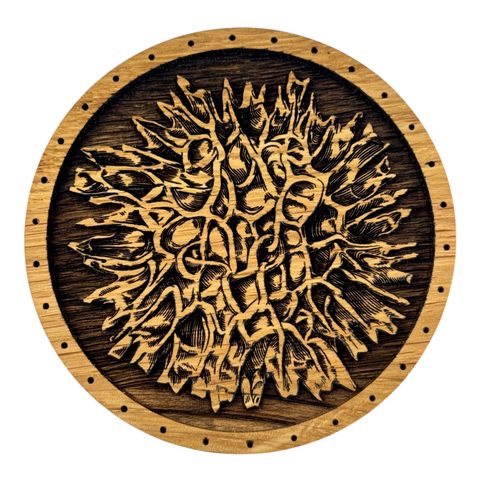 MOLDAVITE OAK BOX FOR COLLECTORS OF STONES, MOLDAVITE AND BRACELETS