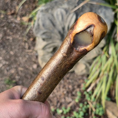 SHILLELAGH - IRISCHER SPAZIERSTOCK, HASELNUSS