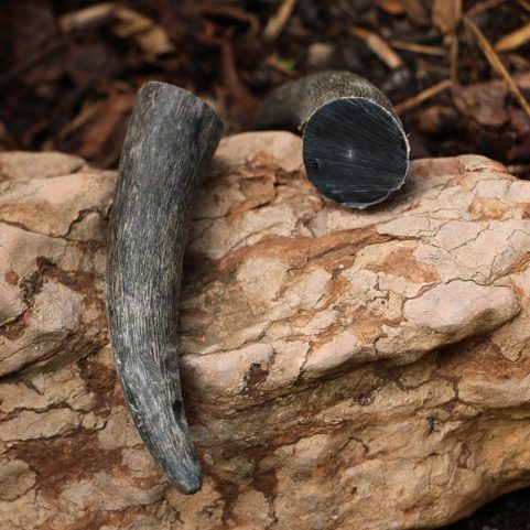 DRAGON CLAW - HORN TIP