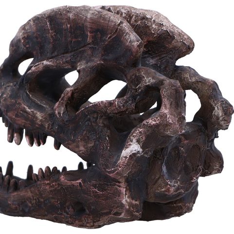 DILOPHOSAURUS , SKULL, IMITATION, 16CM