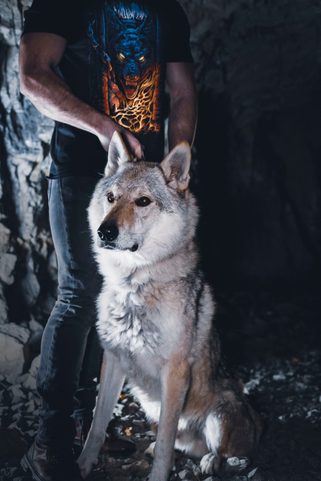 FENRIR - T-SHIRT HOMMES, COULEUR