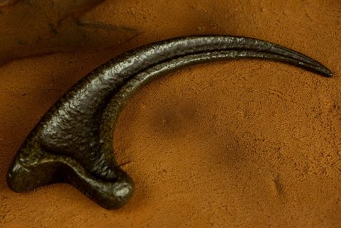JURASSIC PARK REPLICA 1/1 GRIFFE DE RAPTOR