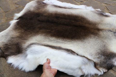 REINDEER FUR FROM LAPLAND, HIGH QUALITY