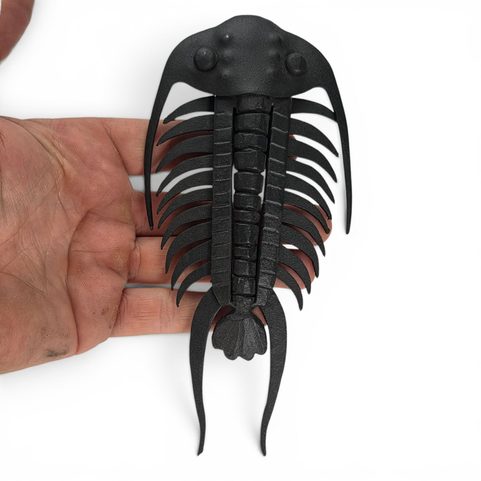 TRILOBITE EN FER FORGÉ, DÉCORATION MURALE