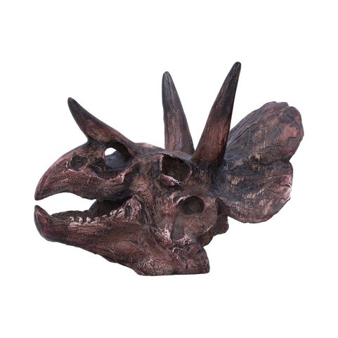 TRICERATOPS, SKULL, IMITATION, 14,5CM