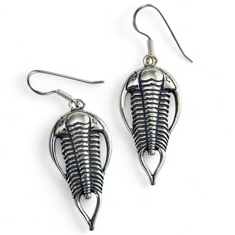 BOUCLES D'OREILLES TRILOBITES, ARGENT 925/1000