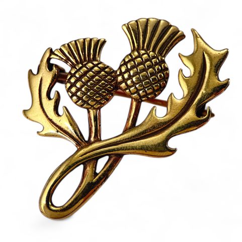 CHARDON ÉCOSSAIS, BRONZE BROCHE