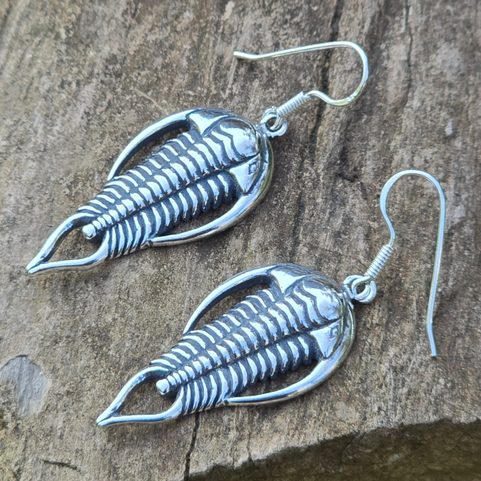 BOUCLES D'OREILLES TRILOBITES, ARGENT 925/1000