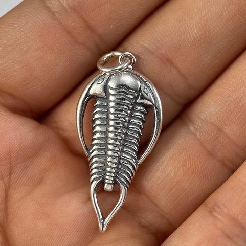 TRILOBITE, SILVER PENDANT, AG 925