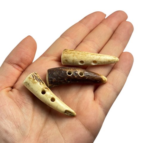 BOUTON DE BOIS - CERF