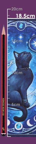 CAT, WALLET 18.5CM