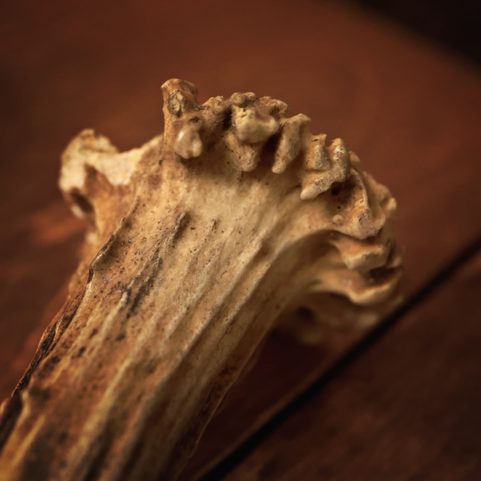 SGIAN DUBH, COUTEAU ÉCOSSAIS AVEC BOIS DE CERF