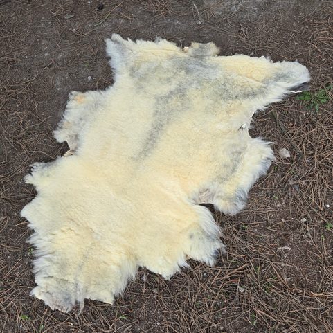 SCHAFSFELL - PELZ - HAMMEL