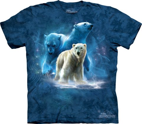 POLAR COLLAGE, THE MOUNTAIN, T-SHIRT