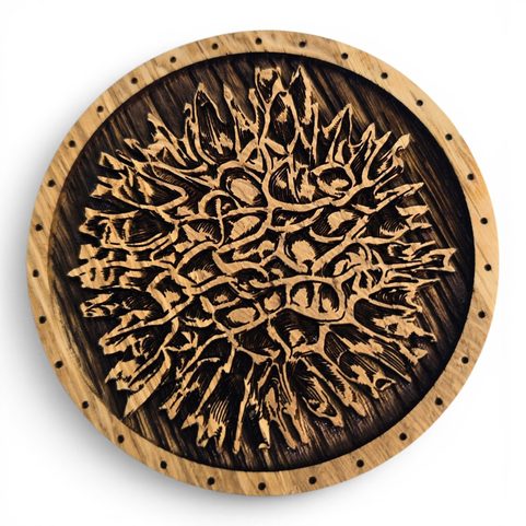 BOÎTE EN BOIS POUR MOLDAVITES AVEC FERMETURE MAGNÉTIQUE