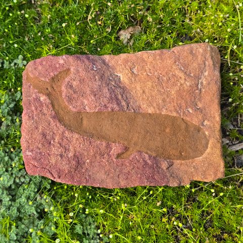PETROGLYPH - CARVED IN STONE