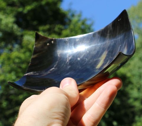 HORN PLATE
