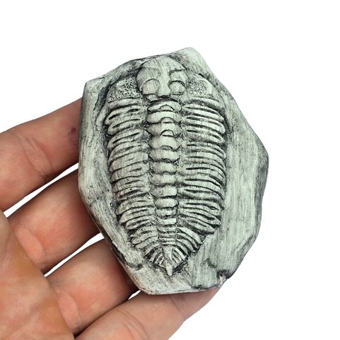 TRILOBIT, REPLICA OF A FOSSIL