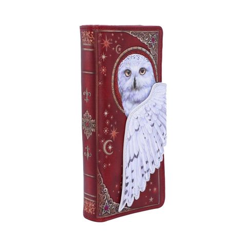 MAGICAL FLIGHT, WALLET 18,5 CM