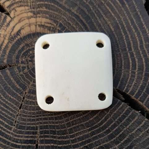 PLAQUE OSSEUSE POUR CARTES