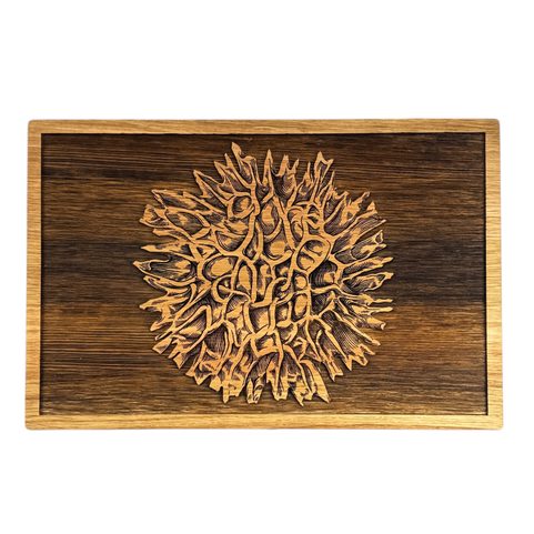 WOODEN BOX FOR MOLDAVITES, BOX MADE OF OAK WOOD