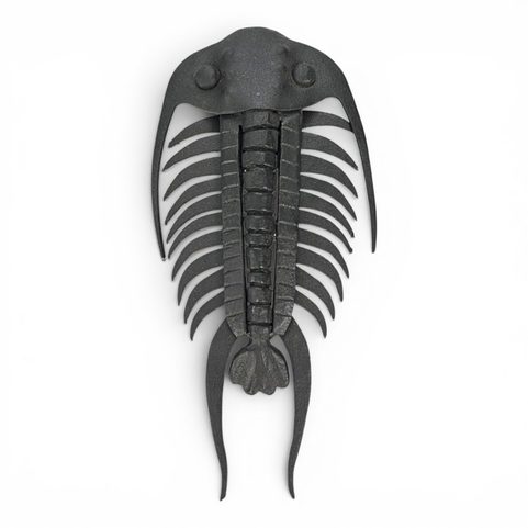 TRILOBITE EN FER FORGÉ, DÉCORATION MURALE