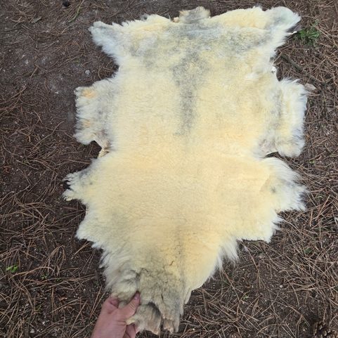 SCHAFSFELL - PELZ - HAMMEL