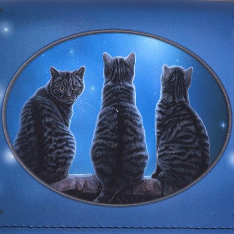 CHATS MAGIQUES, PORTEFEUILLE, 18.5CM
