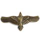 FLIEGENDE KRÄHE, Anhänger, Bronze