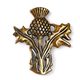 SCOTTISH THISTLE - Alba, bronze pendant
