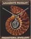 Ammonite, pendant