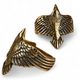 CORVUS, raven, bronze ring