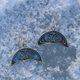 LUNICE earrings Great Moravia silver 925