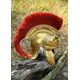 PRAETORIAN, Roman helmet, collectible reproduction