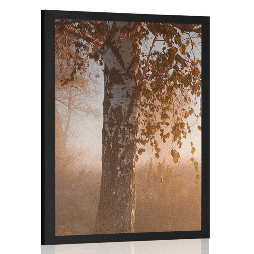 Plagát hmlistý jesenný les - 40x60 white