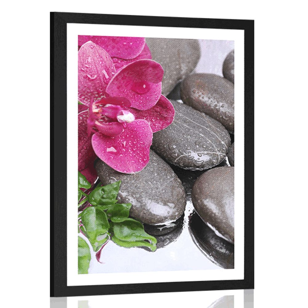Plakát s paspartou kvetoucí orchidej a wellness kameny