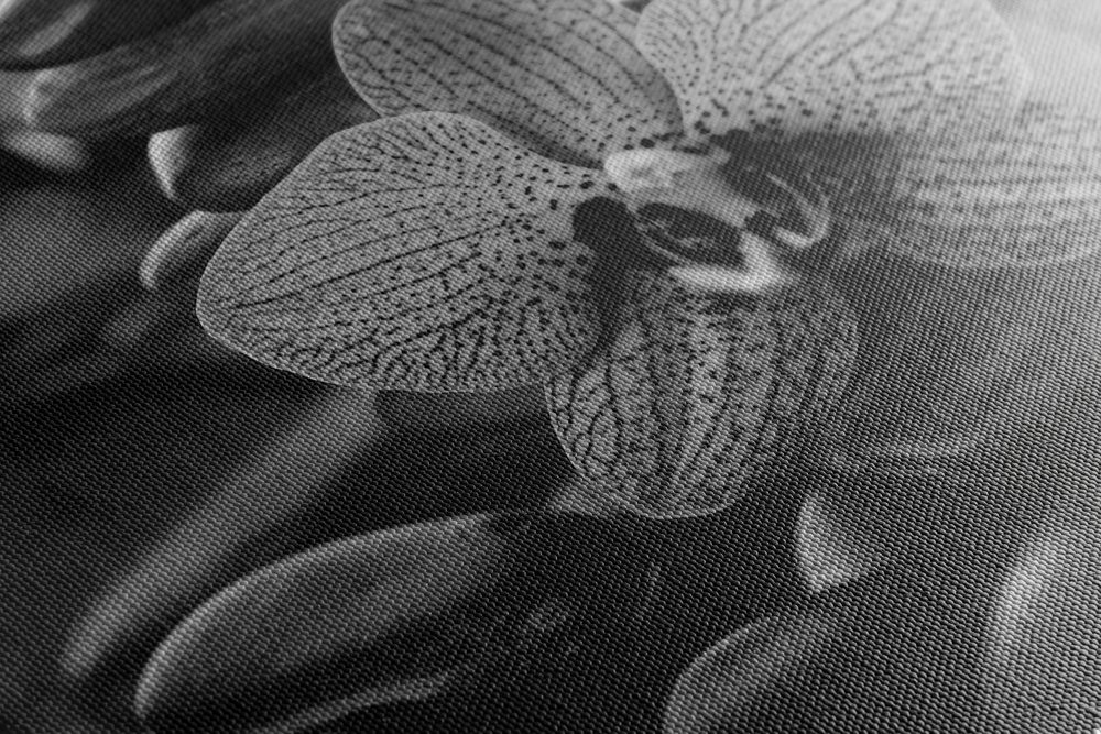 E-shop Obraz orchidea a Zen kamene v čiernobielom prevedení