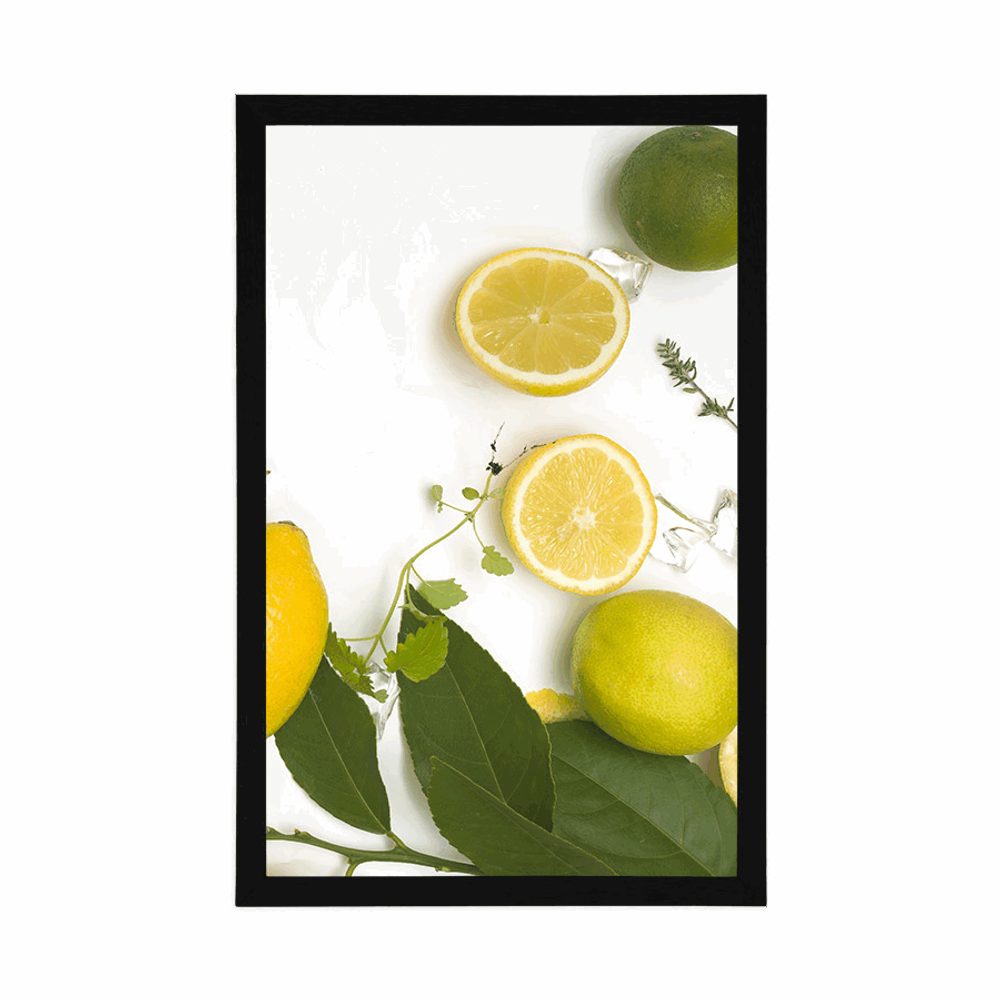 E-shop Plagát mix citrusových plodov