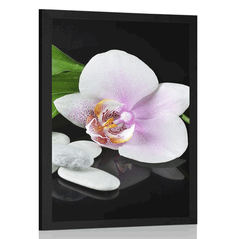 Plakát zen kameny a orchidej