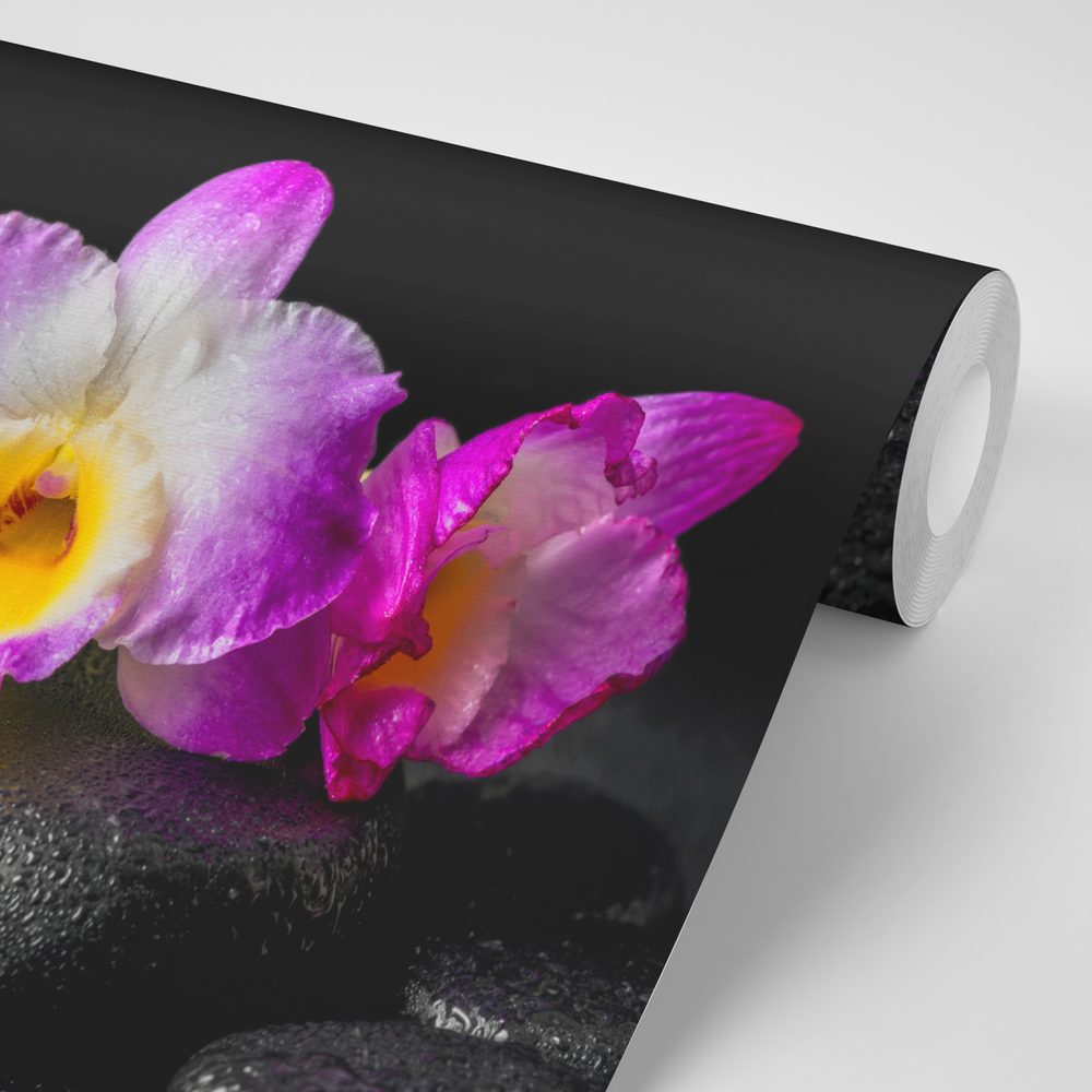 E-shop Fototapeta orchidea na Zen kameňoch