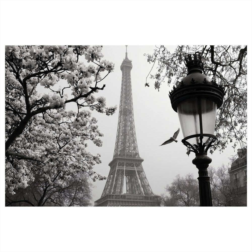 Obraz paríž v zimnej hmle